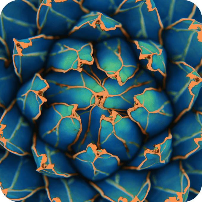 Green leaves for background and wallpaper